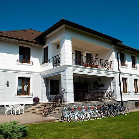 Conacul Dante Hotel Pianu de Jos Buitenkant foto