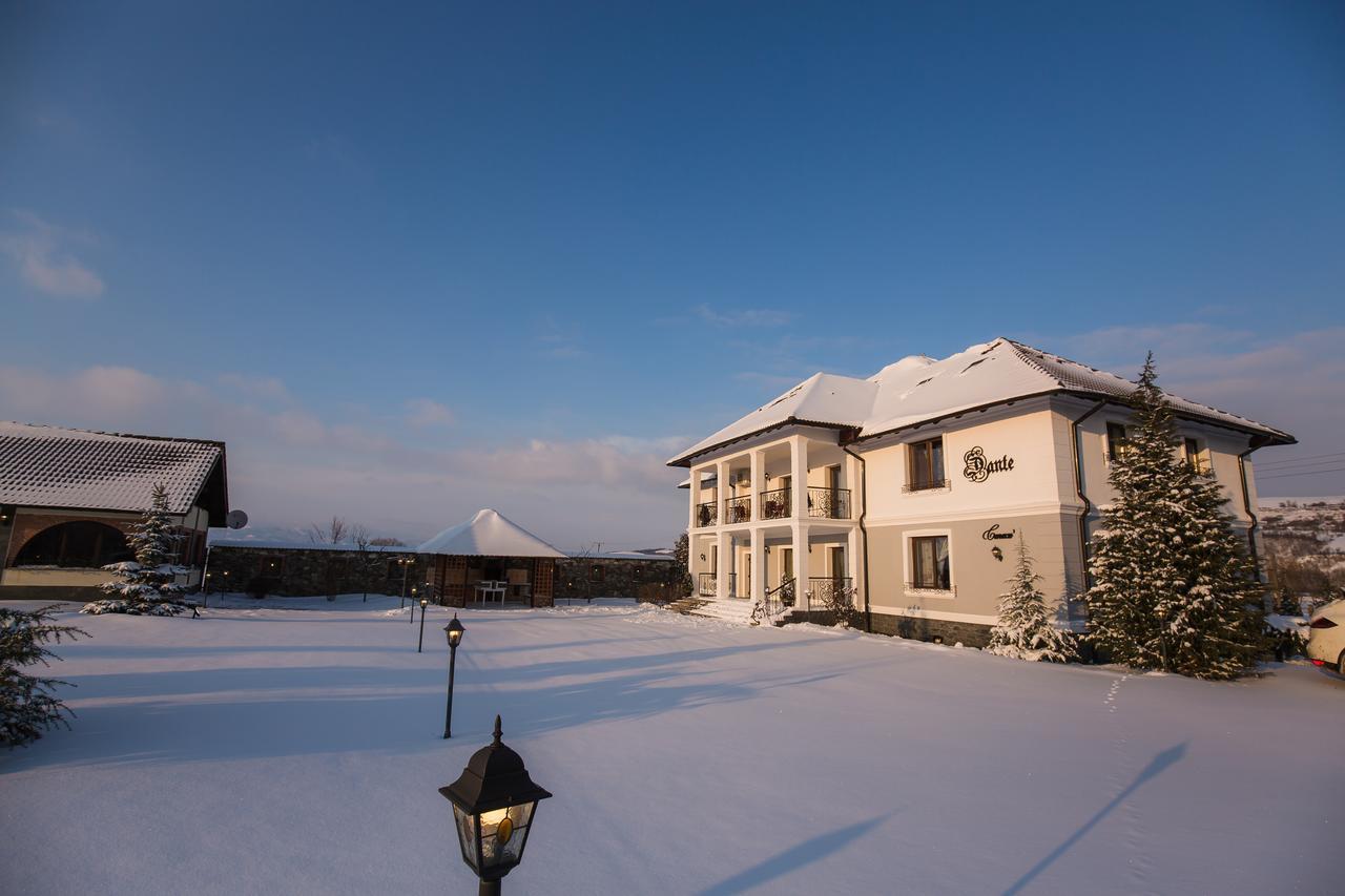 Conacul Dante Hotel Pianu de Jos Buitenkant foto