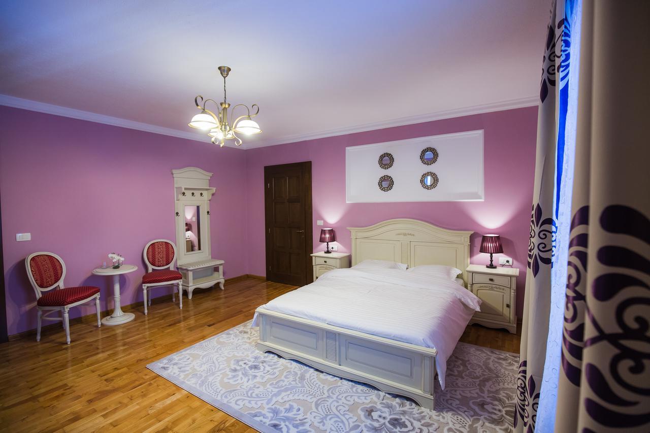 Conacul Dante Hotel Pianu de Jos Buitenkant foto