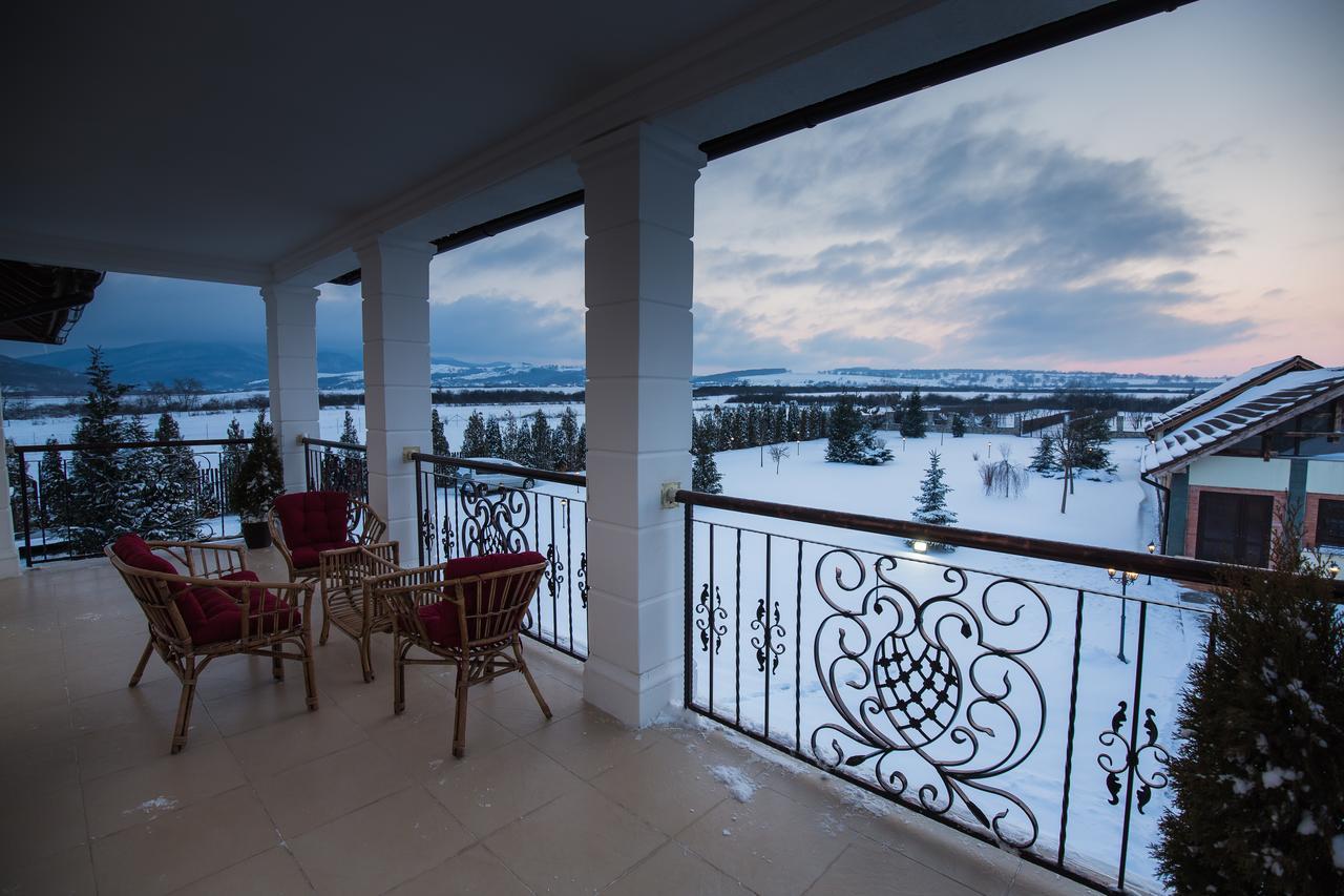 Conacul Dante Hotel Pianu de Jos Buitenkant foto