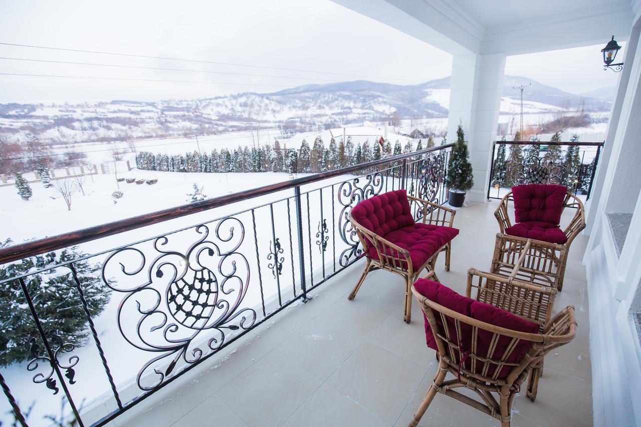 Conacul Dante Hotel Pianu de Jos Buitenkant foto