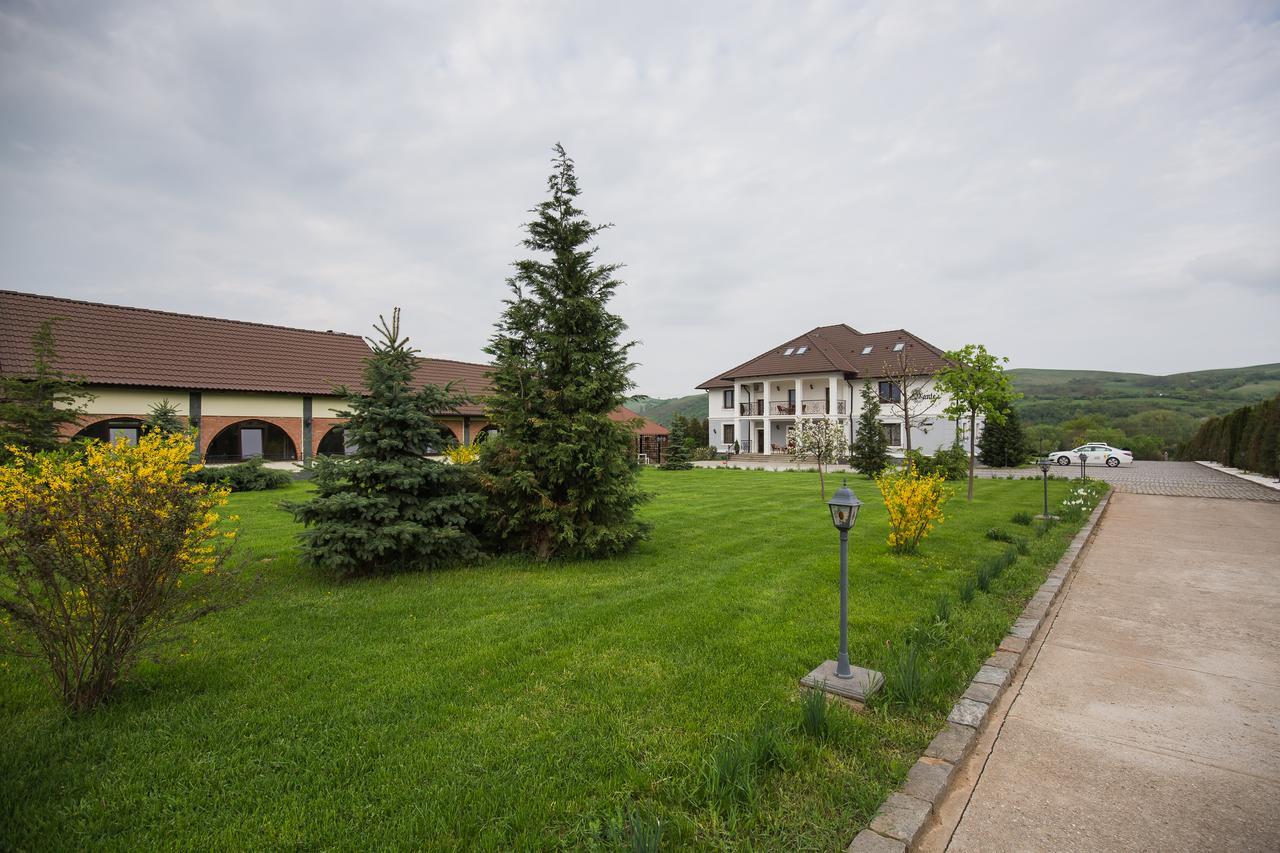 Conacul Dante Hotel Pianu de Jos Buitenkant foto