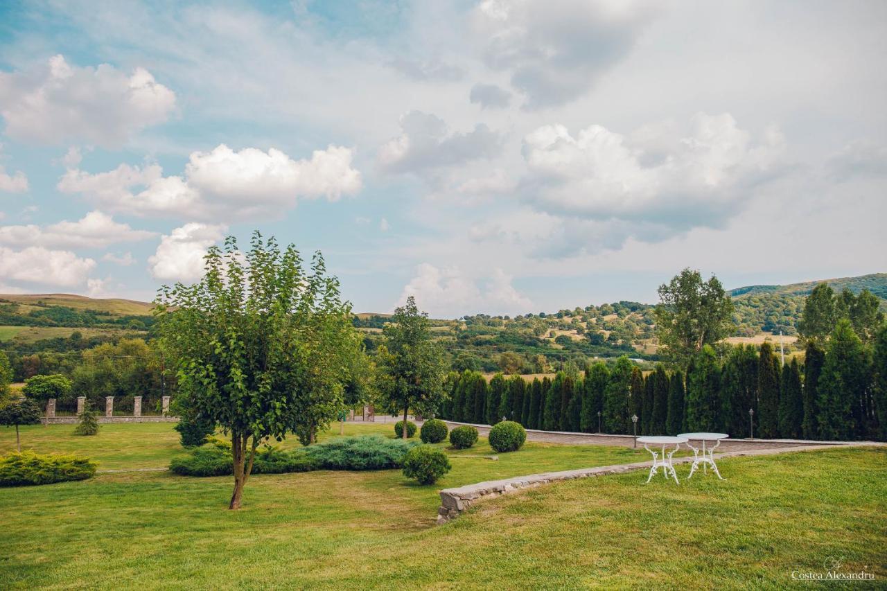 Conacul Dante Hotel Pianu de Jos Buitenkant foto