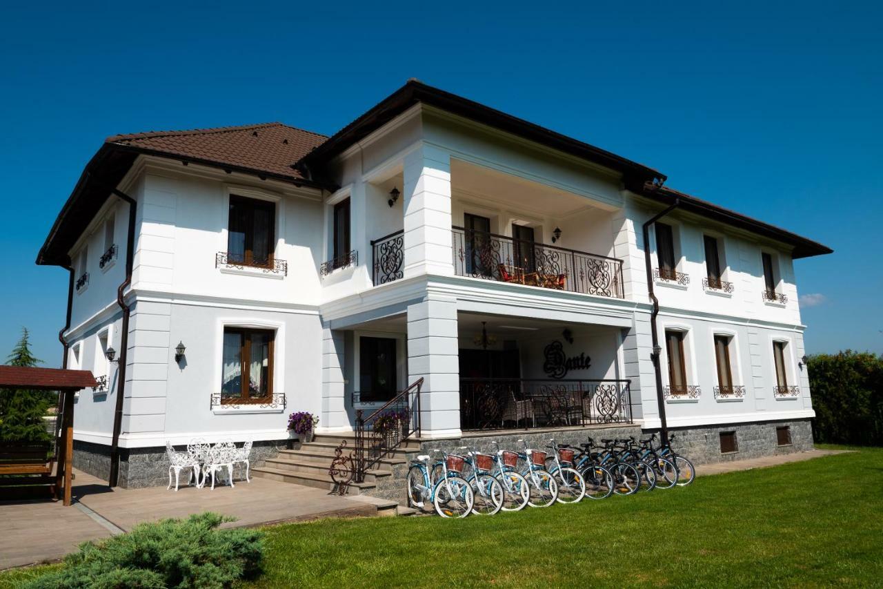 Conacul Dante Hotel Pianu de Jos Buitenkant foto